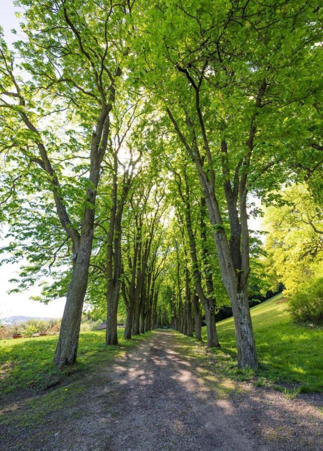 Urlaub In Schlossnaehe Artstetten Εξωτερικό φωτογραφία